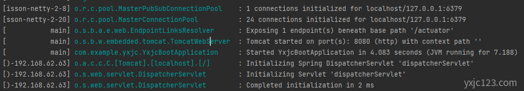 SpringBoot + Redisson 启动
