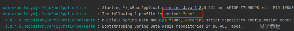 SpringBoot 环境变量
