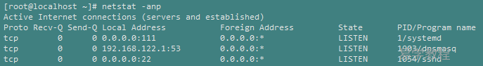 Linux netstat 命令