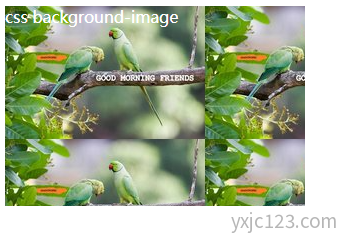 css background-image 设置背景图