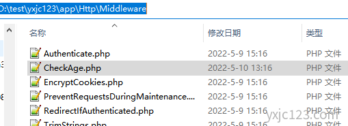 Laravel 路由中间件