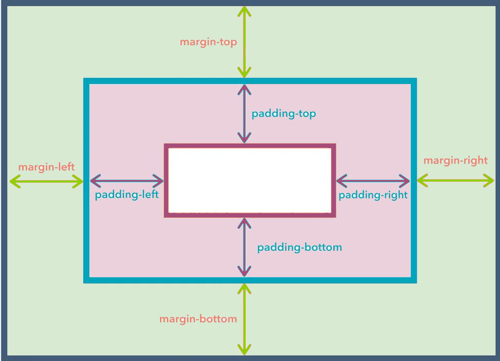 CSS Paddings